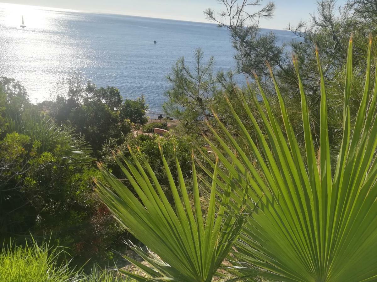 Cabo Roig Bellavista III Leilighet Eksteriør bilde