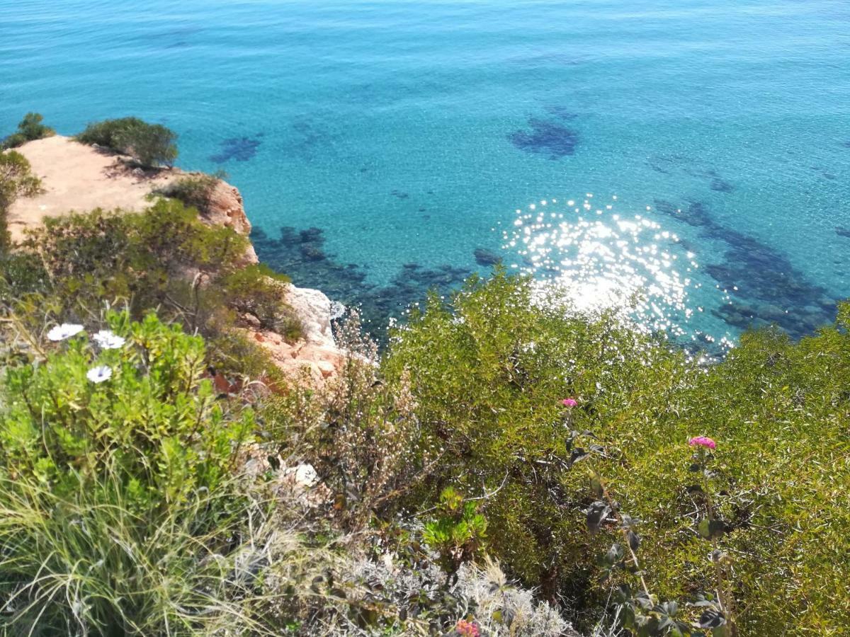 Cabo Roig Bellavista III Leilighet Eksteriør bilde