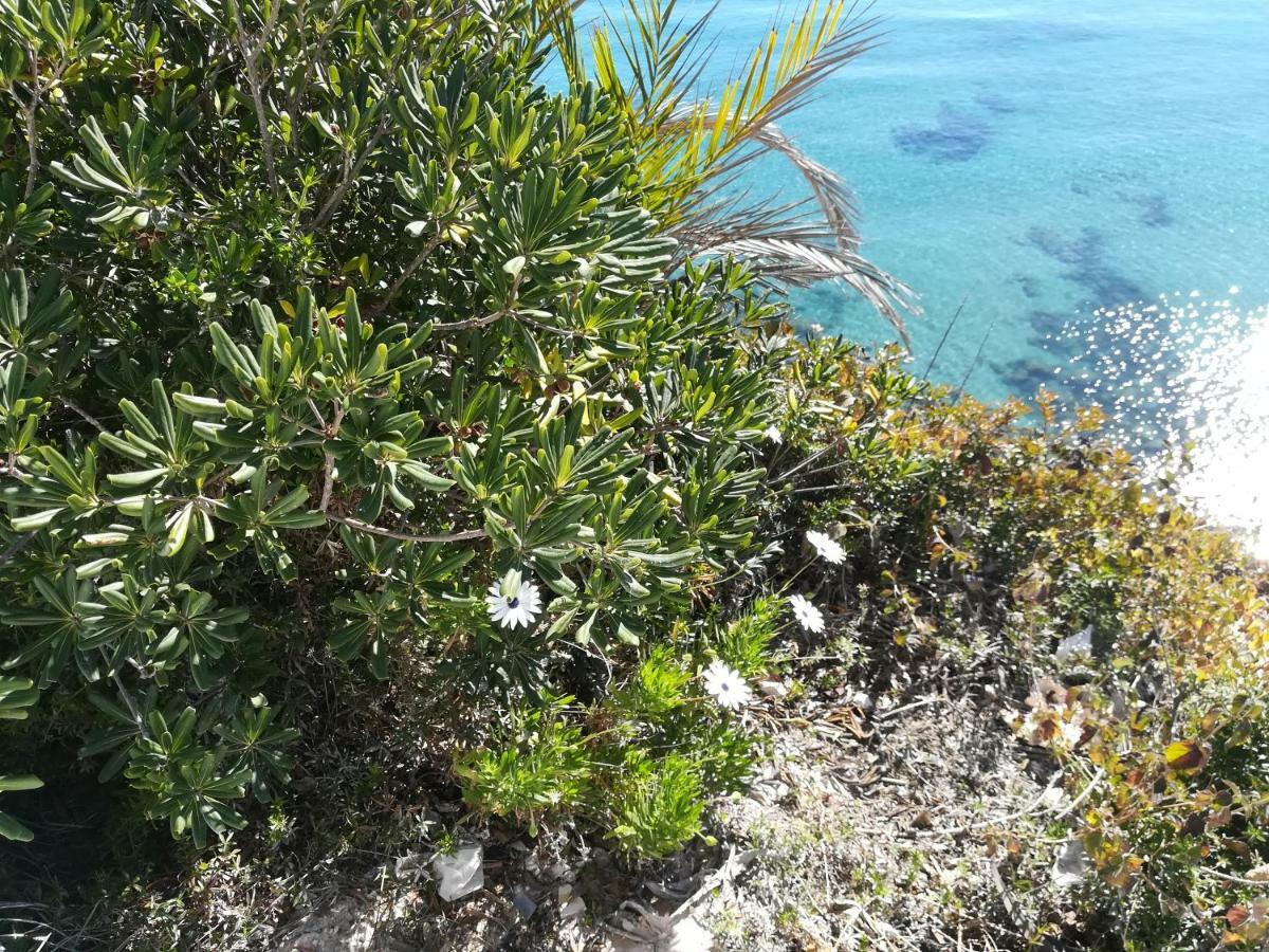 Cabo Roig Bellavista III Leilighet Eksteriør bilde