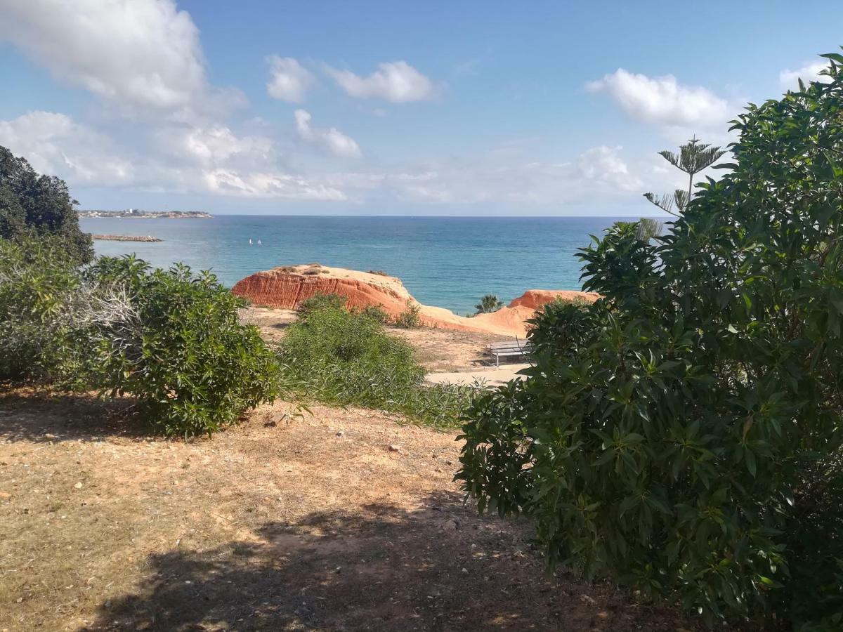 Cabo Roig Bellavista III Leilighet Eksteriør bilde